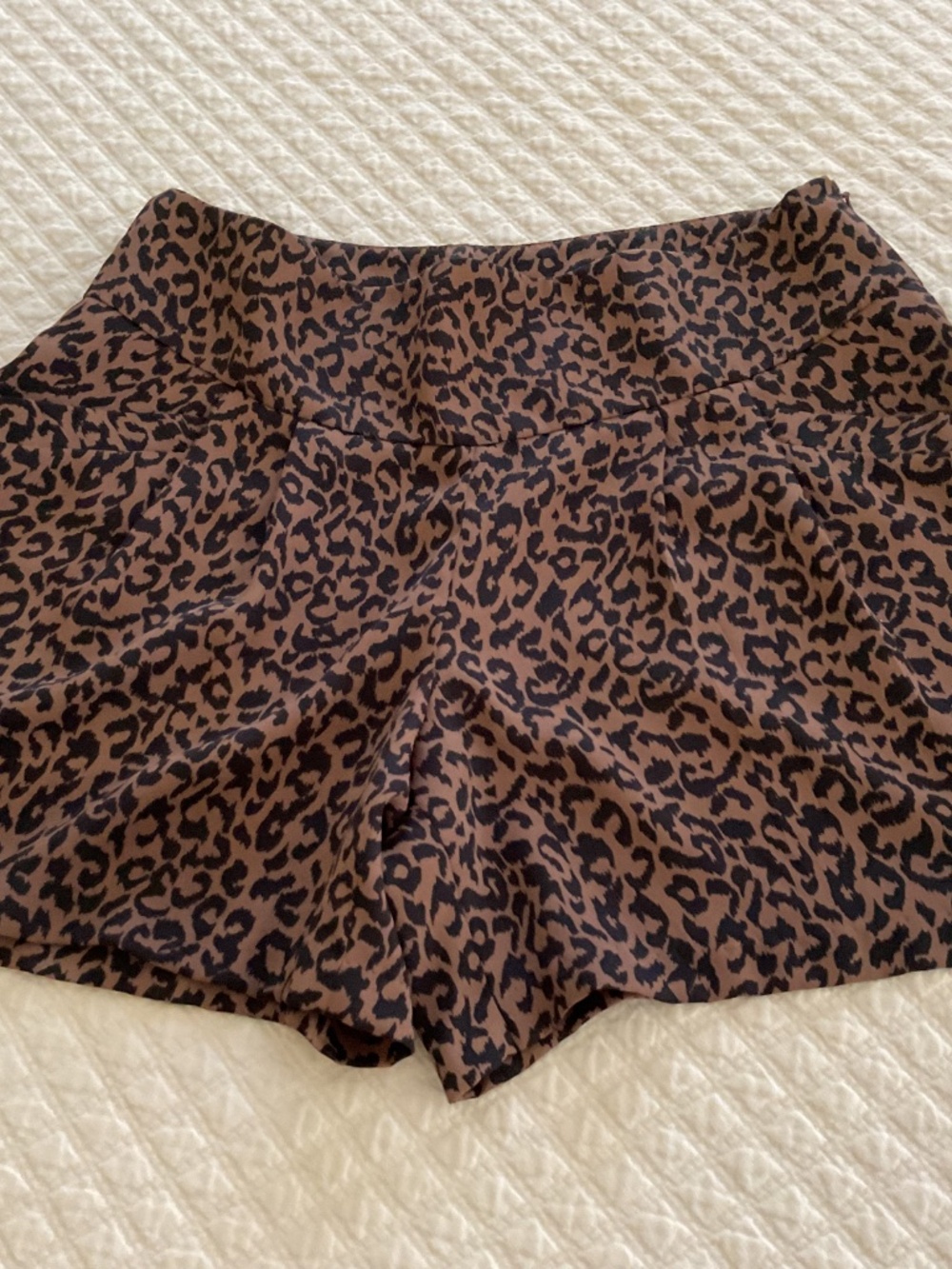 Loft Leopard Print Shorts - Picture 2 of 7